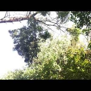 Meet your Posher, Keisha